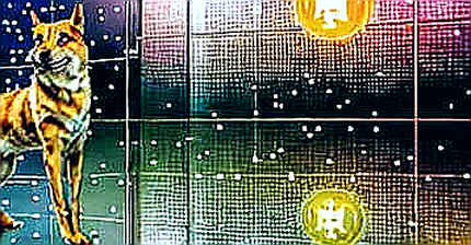 Chiến tranh Mỹ-Iran trên Crypto Briefing: Khi 'Tin Giả' trở thành Vũ khí Thị trường Chiến tranh Mỹ-Iran trên Crypto Briefing: Khi 'Tin Giả' trở thành Vũ khí Thị trường